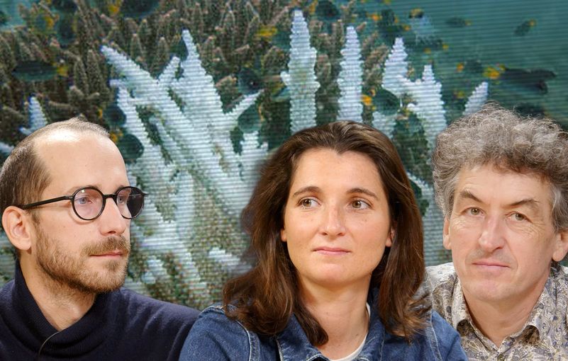 Coraux : derrière la crise politique, l'alerte planétaire ignorée