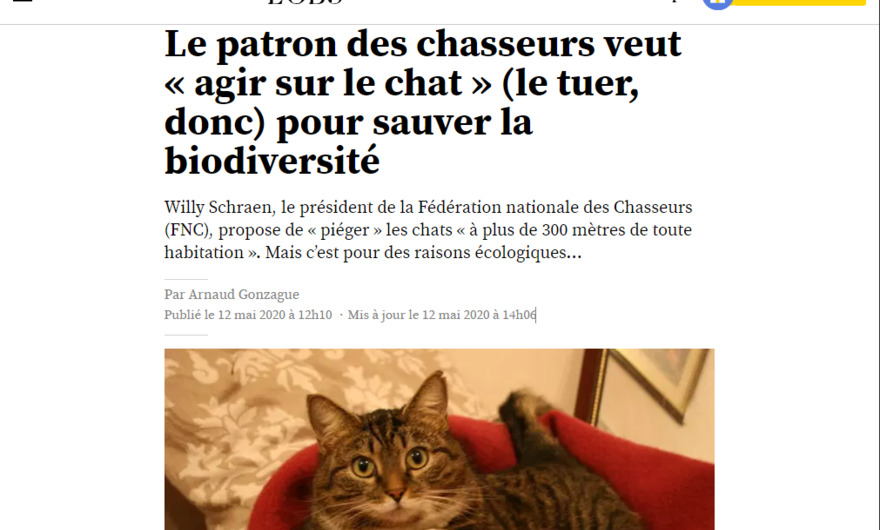 VIDÉO. Le ronronnement de chat le plus fort du monde ! - Sciences