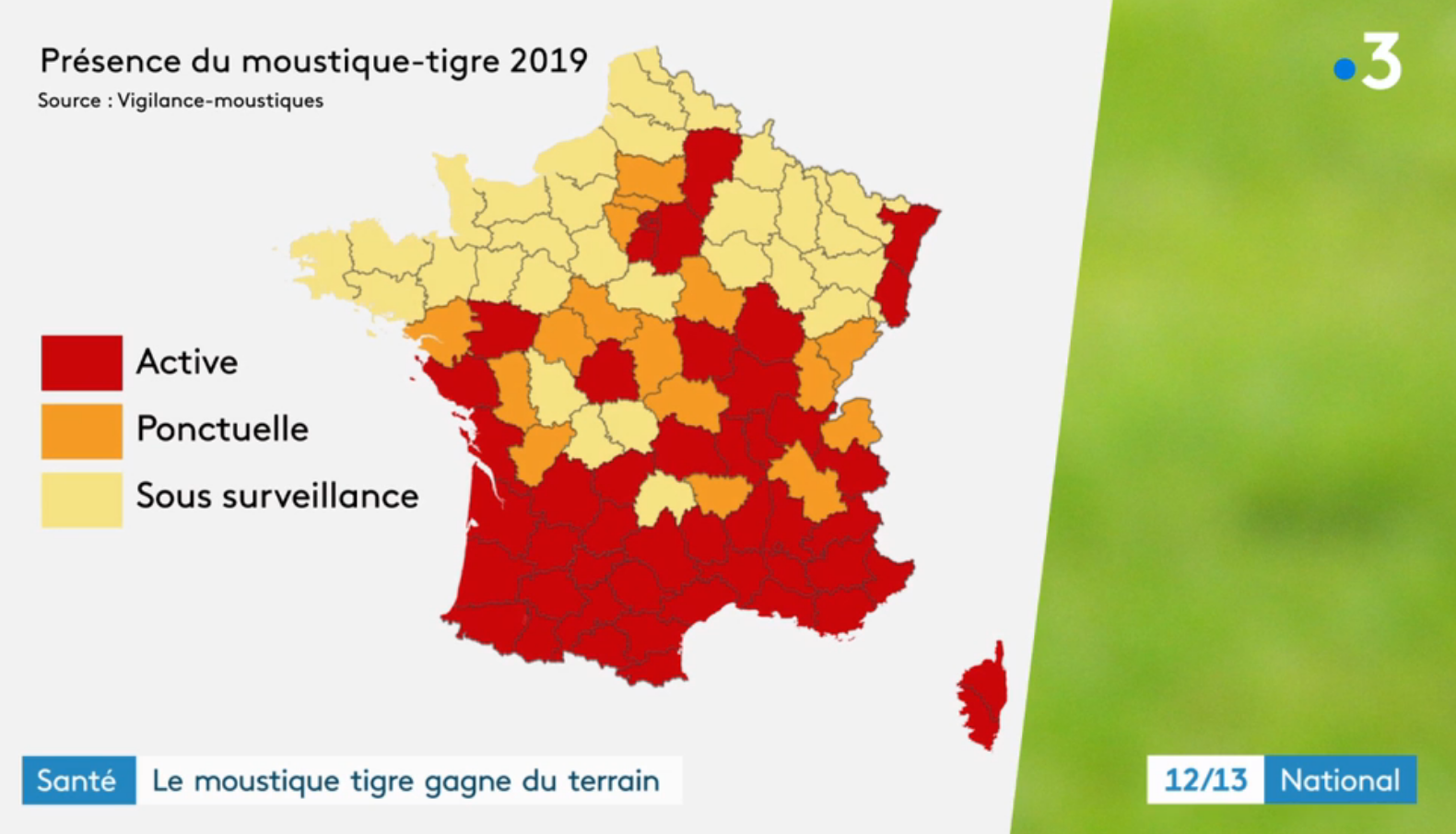 Offensive contre le moustique tigre après un cas de dengue