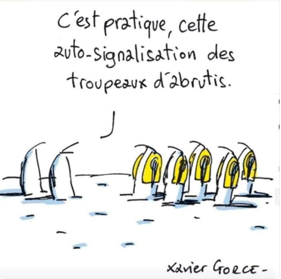 Gilets jaunes
                                                      Gorce