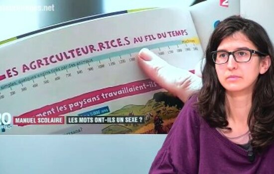 Ecriture inclusive : l'Académie va contre la langue française - Par La  rédaction