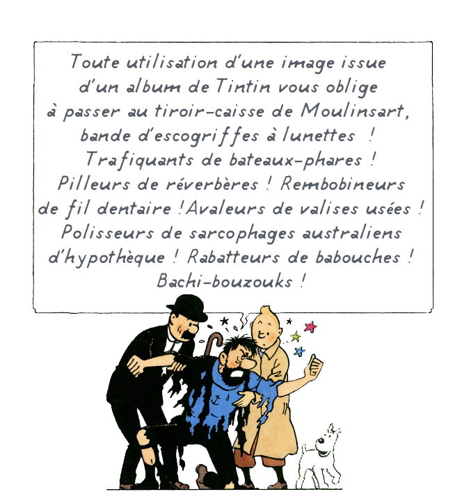 Oublier. Tintin. Au. Congo. - Par Daniel Schneidermann