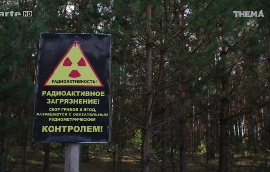 la vérité sur tchernobyl pdf format